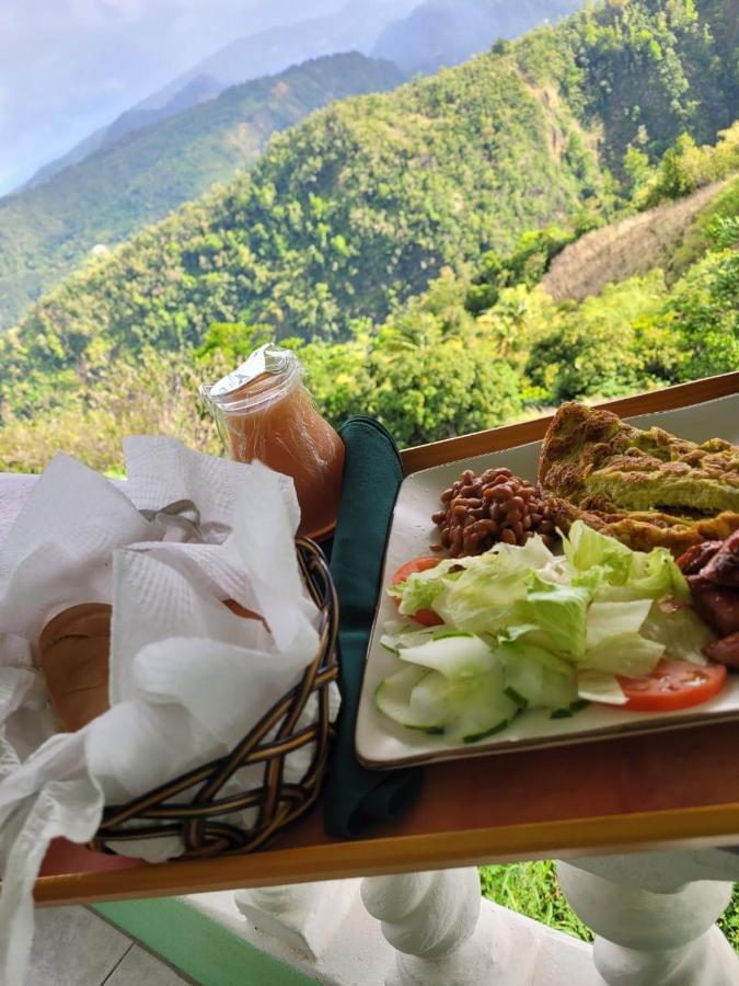 Bed and Breakfast Matthew'S Miracle View Roseau Esterno foto