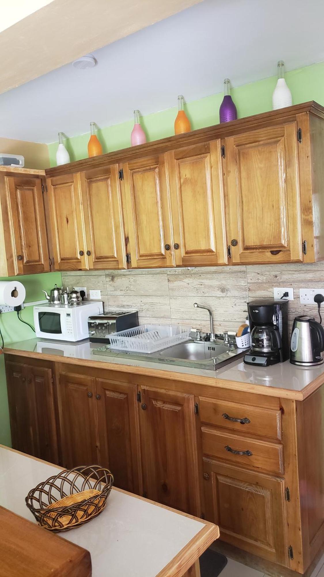 Bed and Breakfast Matthew'S Miracle View Roseau Esterno foto