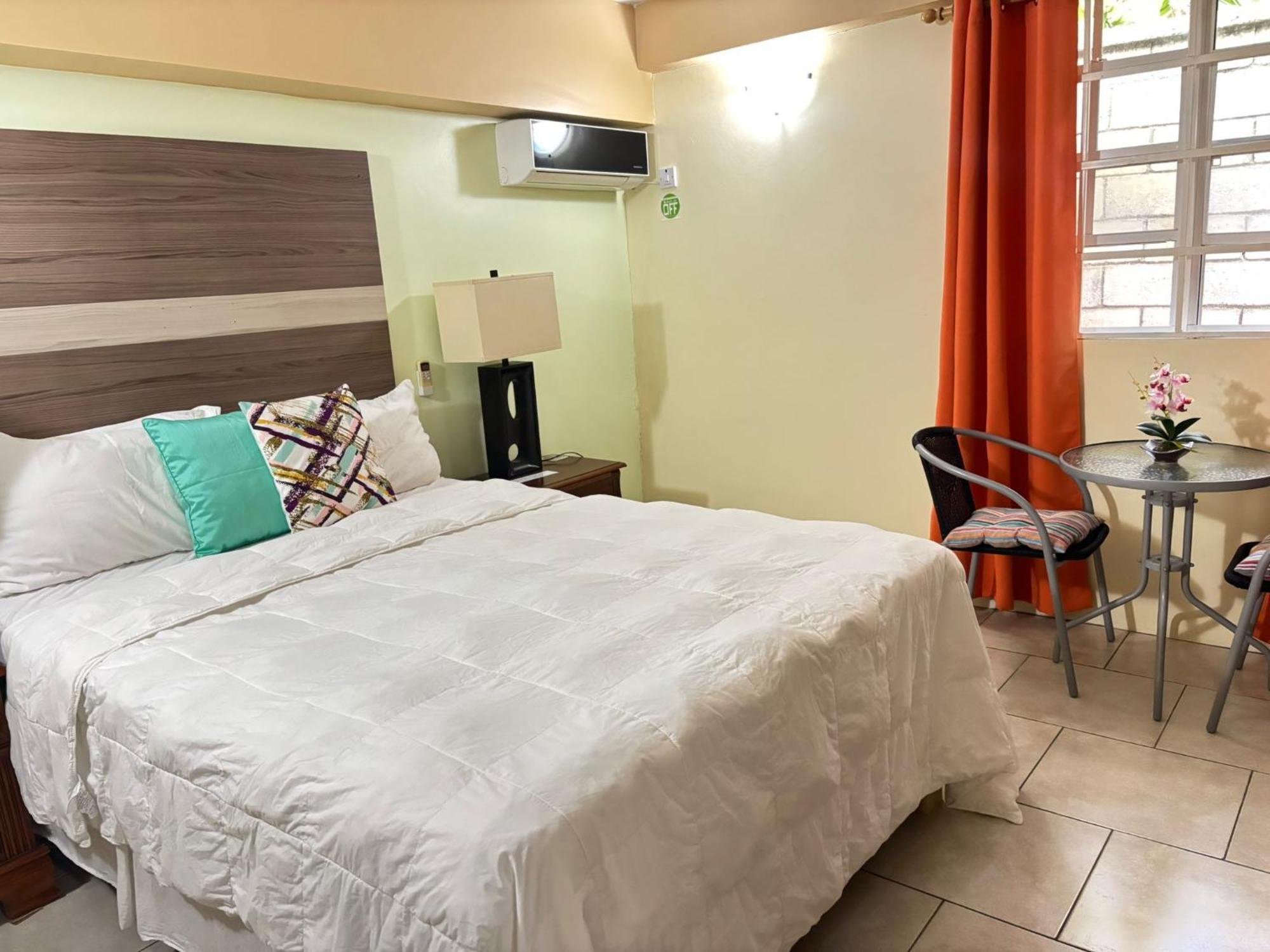 Bed and Breakfast Matthew'S Miracle View Roseau Esterno foto