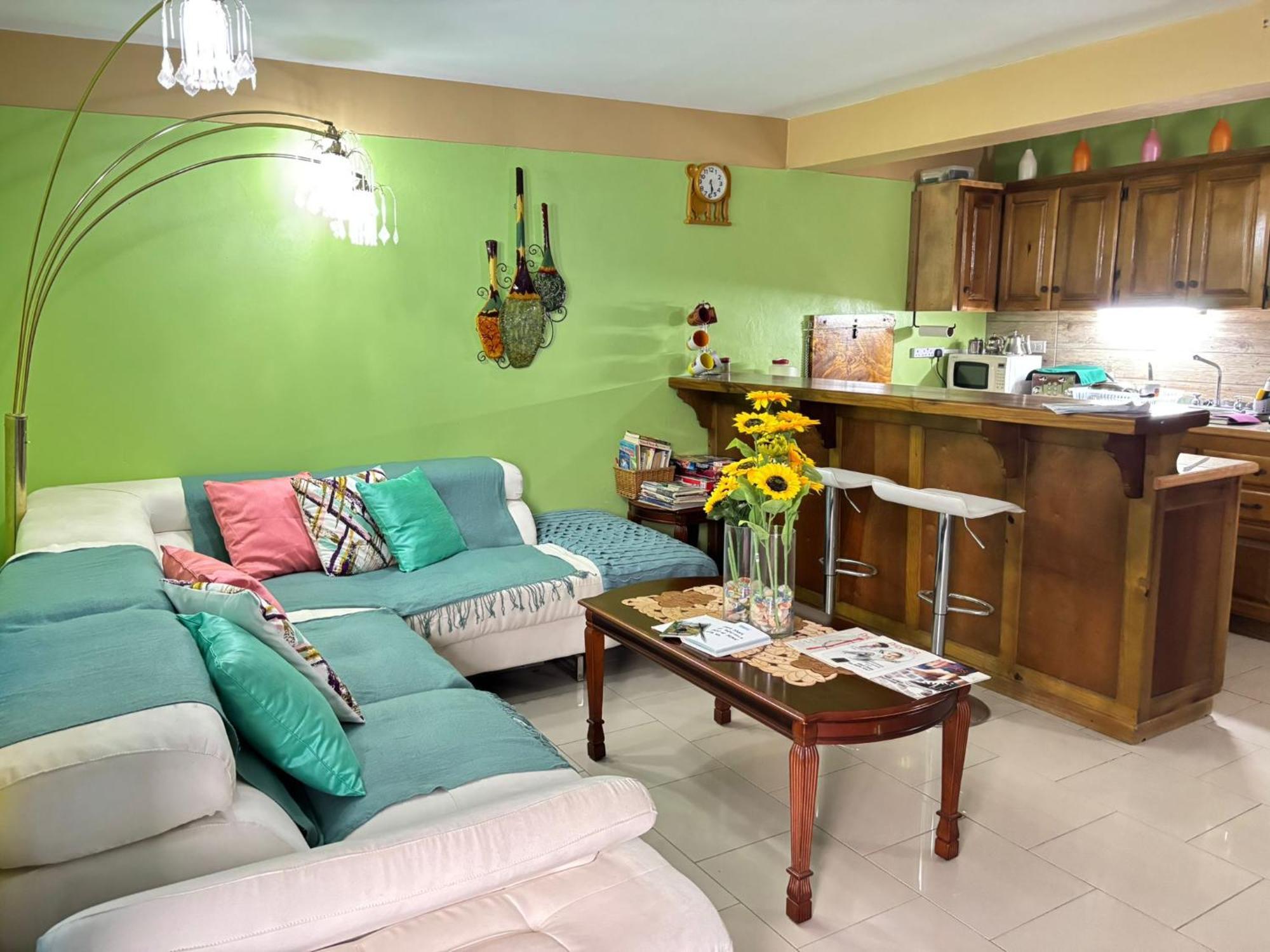 Bed and Breakfast Matthew'S Miracle View Roseau Esterno foto