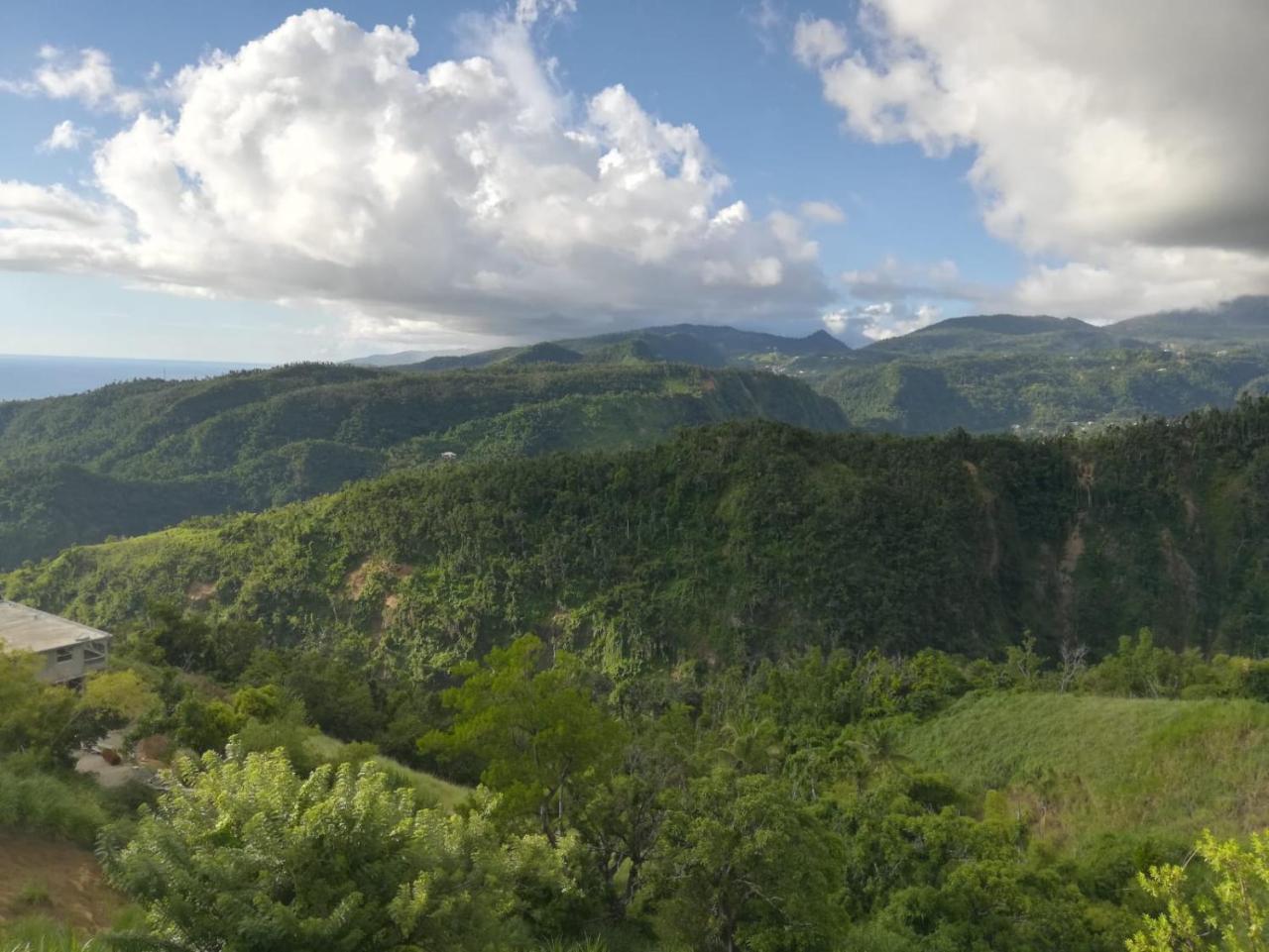 Bed and Breakfast Matthew'S Miracle View Roseau Esterno foto